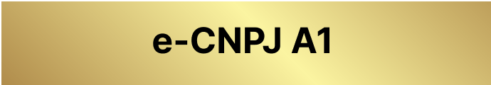 e-CPF A1